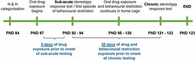 Behavioral restriction, lorazepam, and escitalopram uniquely influence the expression of naturalistic stereotypy in deer mice: perspectives on anxiety- and compulsive-like behavior